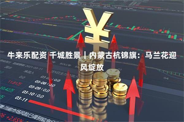 牛来乐配资 千城胜景｜内蒙古杭锦旗：马兰花迎风绽放